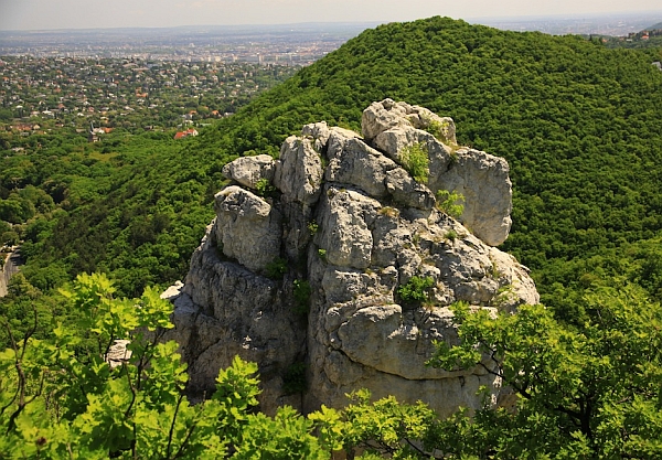 Buda Hills